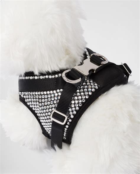 prada dog bowl|prada dog accessories.